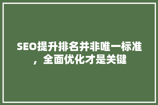 SEO提升排名并非唯一标准，全面优化才是关键