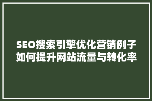 SEO搜索引擎优化营销例子如何提升网站流量与转化率