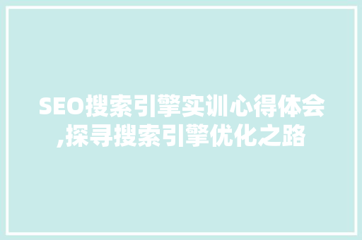 SEO搜索引擎实训心得体会,探寻搜索引擎优化之路