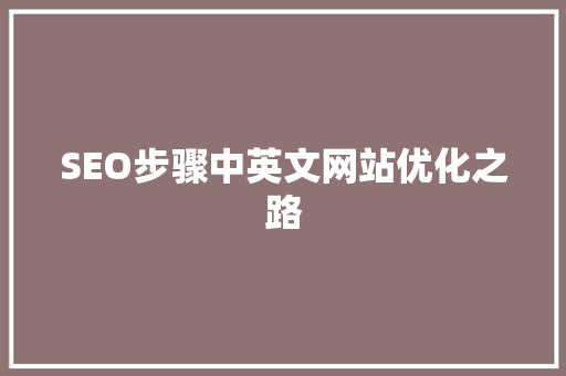 SEO步骤中英文网站优化之路