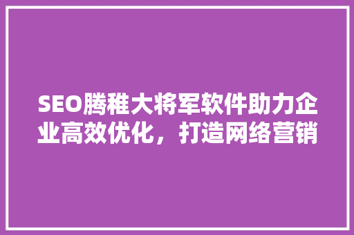 SEO腾稚大将军软件助力企业高效优化，打造网络营销新篇章