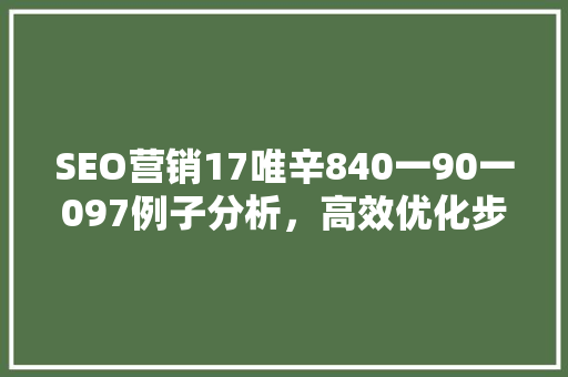 SEO营销17唯辛840一90一097例子分析，高效优化步骤