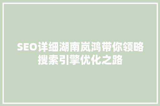 SEO详细湖南岚鸿带你领略搜索引擎优化之路