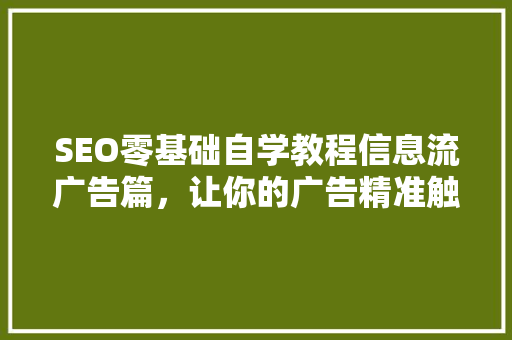 SEO零基础自学教程信息流广告篇，让你的广告精准触达目标用户