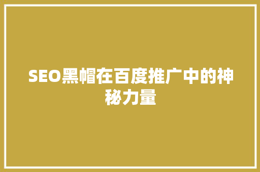 SEO黑帽在百度推广中的神秘力量