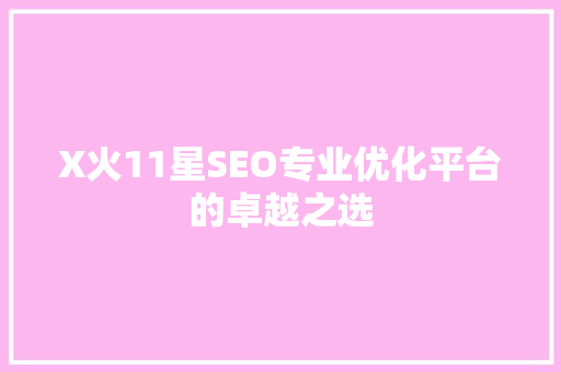 X火11星SEO专业优化平台的卓越之选