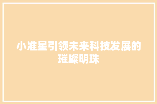 小准星引领未来科技发展的璀璨明珠