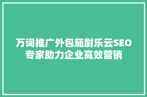 万词推广外包茄尉乐云SEO专家助力企业高效营销