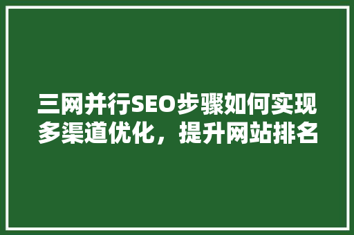 三网并行SEO步骤如何实现多渠道优化，提升网站排名