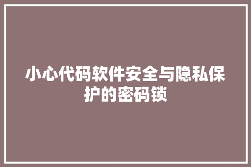 小心代码软件安全与隐私保护的密码锁