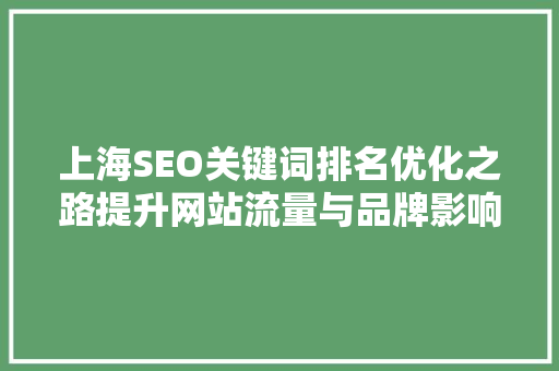 上海SEO关键词排名优化之路提升网站流量与品牌影响力的秘密武器
