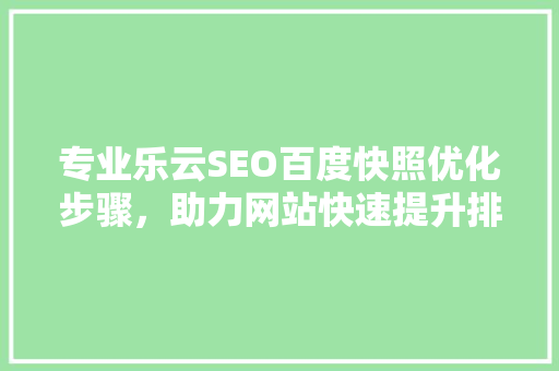 专业乐云SEO百度快照优化步骤，助力网站快速提升排名
