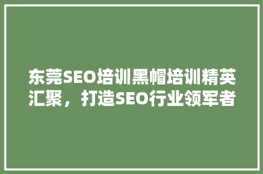 东莞SEO培训黑帽培训精英汇聚，打造SEO行业领军者