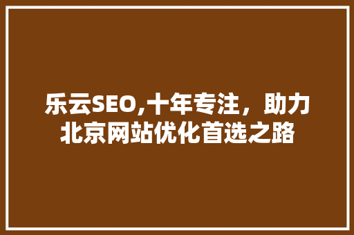 乐云SEO,十年专注，助力北京网站优化首选之路