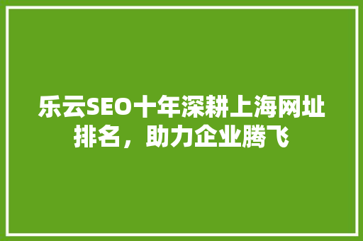 乐云SEO十年深耕上海网址排名，助力企业腾飞