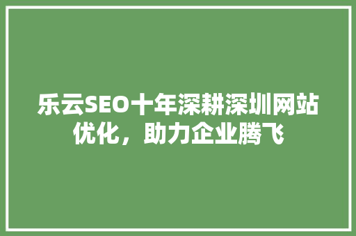 乐云SEO十年深耕深圳网站优化，助力企业腾飞