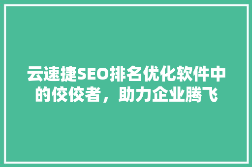 云速捷SEO排名优化软件中的佼佼者，助力企业腾飞