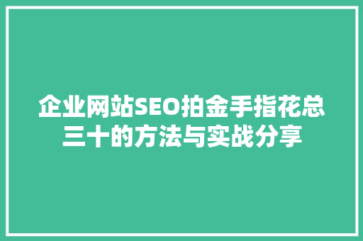 企业网站SEO拍金手指花总三十的方法与实战分享