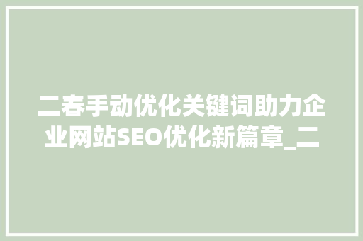 二春手动优化关键词助力企业网站SEO优化新篇章_二春手动优化关键词