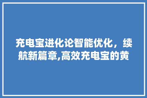 充电宝进化论智能优化，续航新篇章,高效充电宝的黄金关键词组合_充电宝优化标题关键词