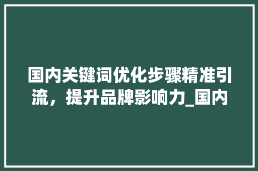 国内关键词优化步骤精准引流，提升品牌影响力_国内关键词优化渠道