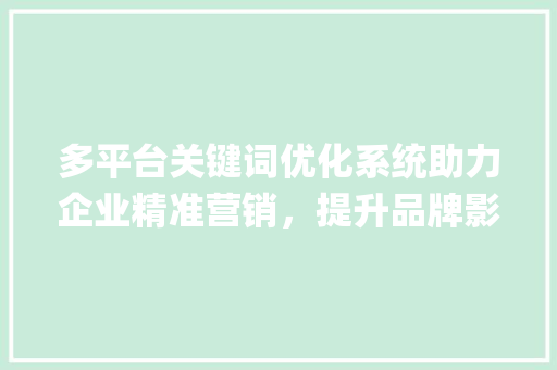 多平台关键词优化系统助力企业精准营销，提升品牌影响力_多平台关键词优化系统