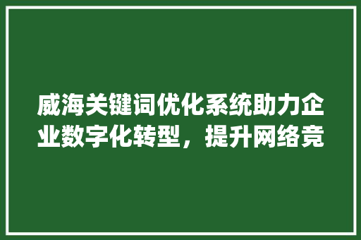 威海关键词优化系统助力企业数字化转型，提升网络竞争力_威海关键词优化系统