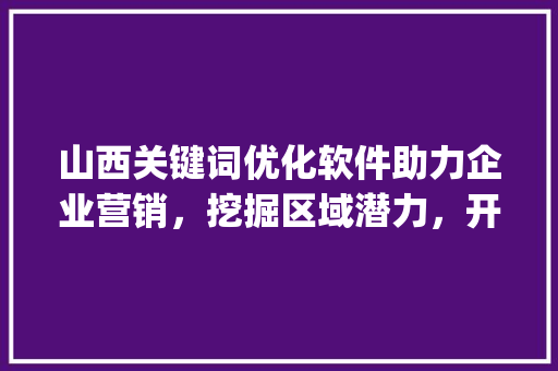 山西关键词优化软件助力企业营销，挖掘区域潜力，开启数字化转型新篇章_山西关键词优化软件