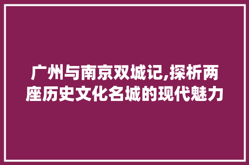 广州与南京双城记,探析两座历史文化名城的现代魅力_广州南京关键词优化