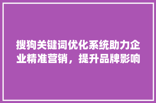 搜狗关键词优化系统助力企业精准营销，提升品牌影响力_搜狗关键词优化系统