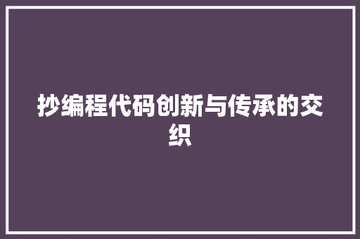 抄编程代码创新与传承的交织