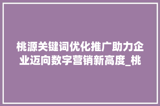 桃源关键词优化推广助力企业迈向数字营销新高度_桃源关键词优化推广公司