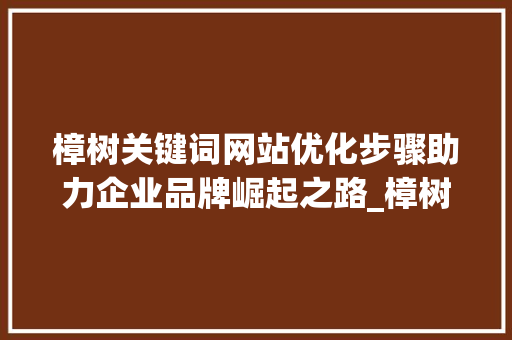 樟树关键词网站优化步骤助力企业品牌崛起之路_樟树关键词网站优化