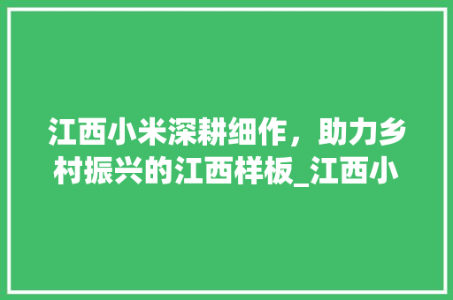 江西小米深耕细作，助力乡村振兴的江西样板_江西小米关键词优化