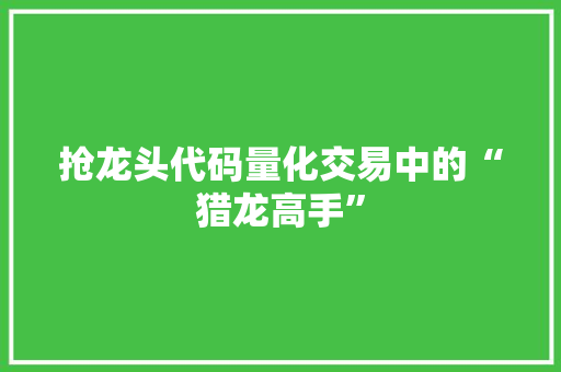 抢龙头代码量化交易中的“猎龙高手”