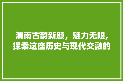 渭南古韵新颜，魅力无限,探索这座历史与现代交融的城市_渭南关键词搜索优化