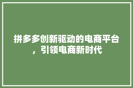 拼多多创新驱动的电商平台，引领电商新时代