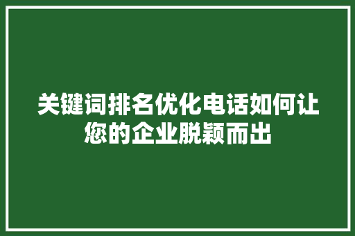 关键词排名优化电话如何让您的企业脱颖而出  第1张