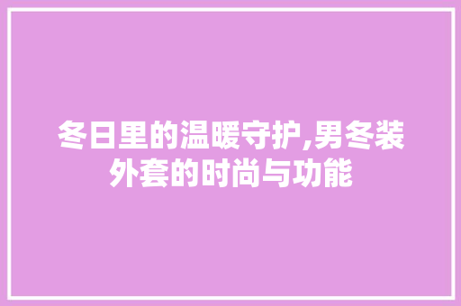 冬日里的温暖守护,男冬装外套的时尚与功能