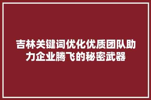 吉林关键词优化优质团队助力企业腾飞的秘密武器