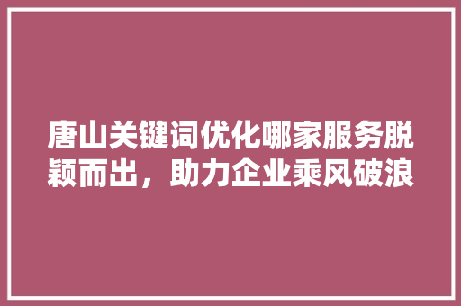 唐山关键词优化哪家服务脱颖而出，助力企业乘风破浪