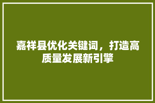 嘉祥县优化关键词，打造高质量发展新引擎