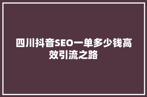 四川抖音SEO一单多少钱高效引流之路