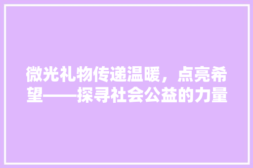 微光礼物传递温暖，点亮希望——探寻社会公益的力量
