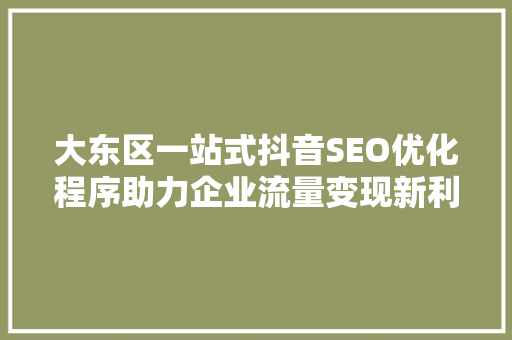 大东区一站式抖音SEO优化程序助力企业流量变现新利器