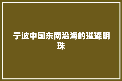 宁波中国东南沿海的璀璨明珠