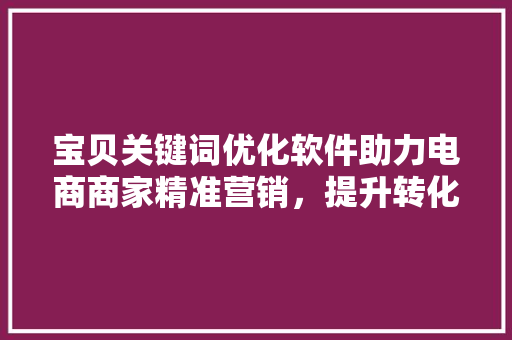 宝贝关键词优化软件助力电商商家精准营销，提升转化率