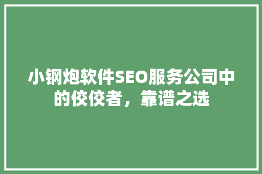 小钢炮软件SEO服务公司中的佼佼者，靠谱之选