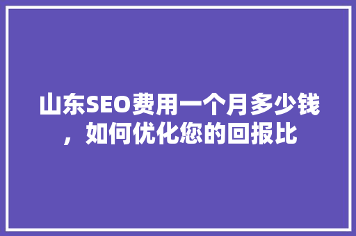 山东SEO费用一个月多少钱，如何优化您的回报比