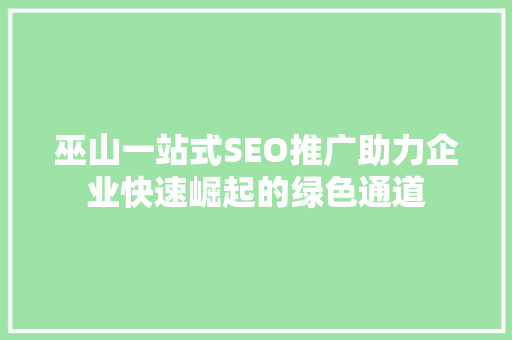 巫山一站式SEO推广助力企业快速崛起的绿色通道